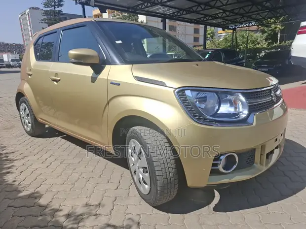 Suzuki Ignis 2019 Brown - 1