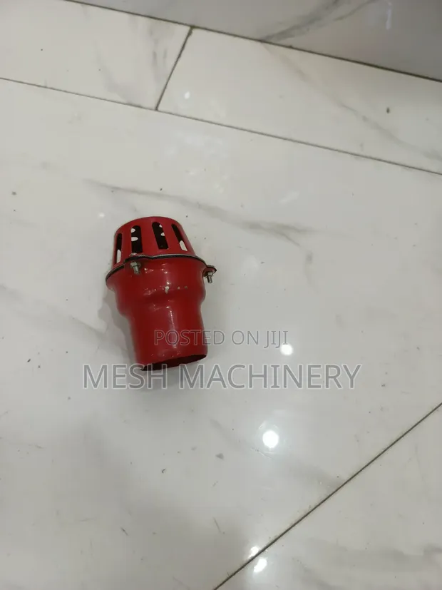 2" Foot Valve - 1