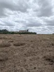Residential Plots for Sale in Kitengela - 1