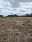 Residential Plots for Sale in Kitengela - 4