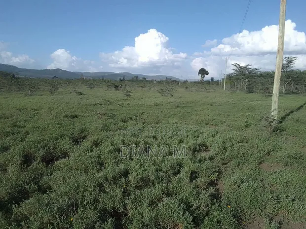 Prime 3 Acres for Sale in Nanyuki - 1