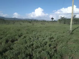 Prime 3 Acres for Sale in Nanyuki