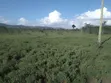 Eneo Bora la Eka 3 Nanyuki - 1