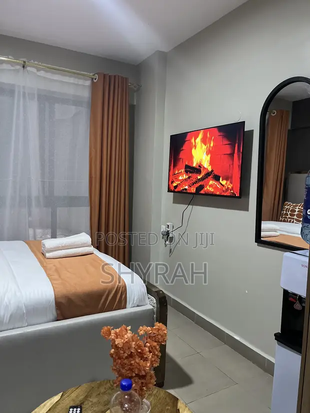 Airbnb Studio Apartment in Nairobi West - 1