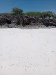 Malindi Mayungu Eka 3.5 Mbele ya Bahari kwa Uuzaji - 1