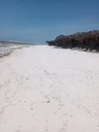 Malindi Mayungu Eka 3.5 Mbele ya Bahari kwa Uuzaji - 2