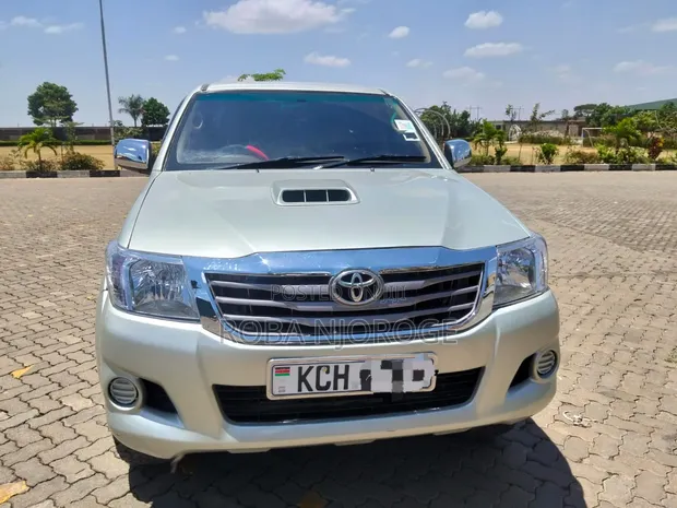 Toyota Hilux 3.0 D-4D Double Cab 2008 Silver - 1