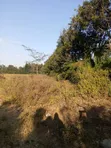 Eneo la Eka 10 Karen Lote Kuuzwa Mtaa wa Kombe - 3