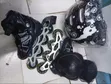 Inline Skates (Ukubwa 31-34) - Nyeusi - 1