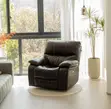 Kochi ya Ofisi ya Ngozi ya Rangi ya Kahawia ya Kaa Moja ya Recliner - 2