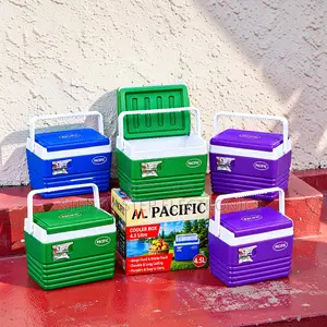 4.5L Cooler Box with Carry Handle