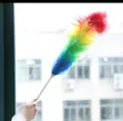 New Look Rainbow Duster/Whisker - 2