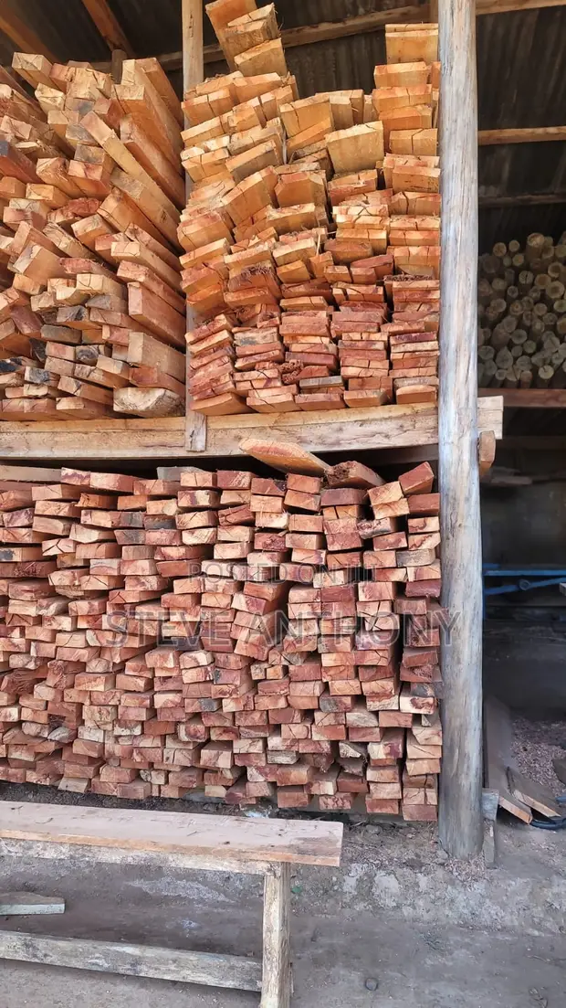 Blue Gum Sawmill Timber - 1