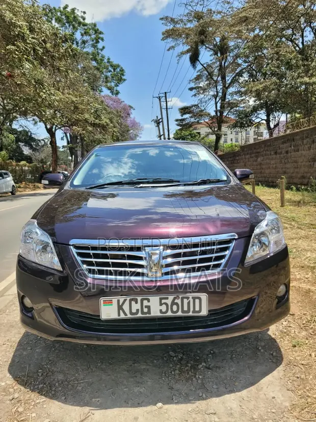 Toyota Premio 2009 Maroon - 1
