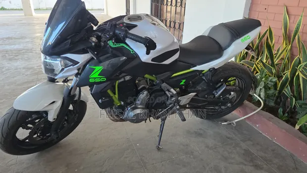 Kawasaki Ninja 650 2016 White - 1