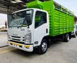Isuzu NQR Blue Power Truck - 1