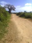 Ardhi ya Maendeleo Diani Beach Road - Eka 5 - 1