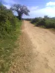 Ardhi ya Maendeleo Diani Beach Road - Eka 5 - 5