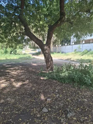 1.25 Acre Commercial Land for Sale on Langata Road