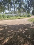 Eneo la 1.25 Eka la Kibiashara Linauzwa Langata Road - 3
