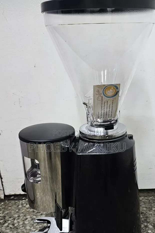 Commercial Coffee Grinder - Brand New - 1