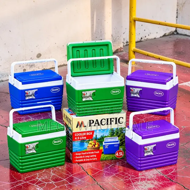 4.5L Portable Cooler Box with Handle - 1