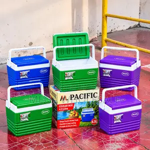 4.5L Portable Cooler Box with Handle