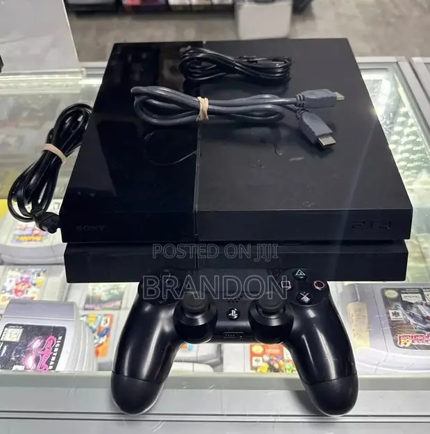 Playstation 4 Standard 500GB - 1