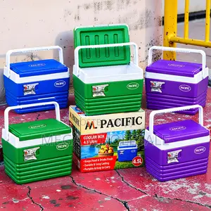 4.5L Compact Cooler Box - Portable Food & Drink Storage