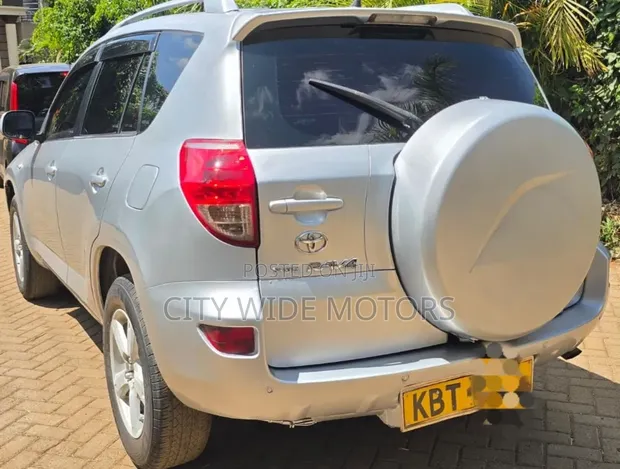 Toyota RAV4 2009 Silver - 1