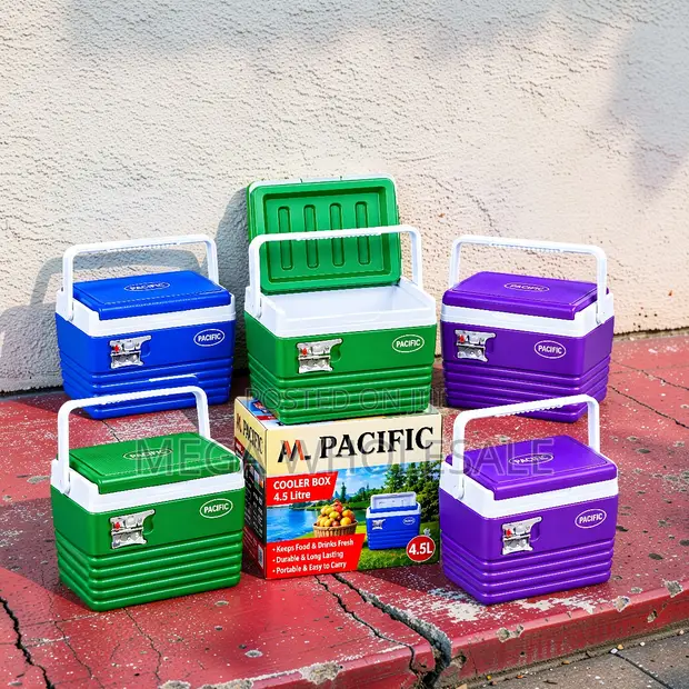4.5L Portable Food Cooler Box for Travel & Outdoors - 1