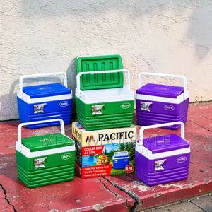4.5L Portable Food Cooler Box for Travel & Outdoors