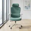 Kiti cha Ofisi cha Orthopedic cha Kijani - 5