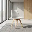 Nordic Shell Dining Chair - Mpya Kabisa - 1