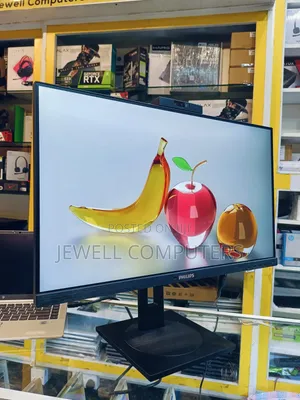 Philips 243B1 24-inch USB-C IPS FHD Monitor with 90W PD