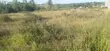 Kinanie Plot, Athi River - 1/8 Acre - 4