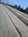 Cypress and Pine Timber Available - 1