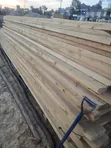 Cypress and Pine Timber Available - 3