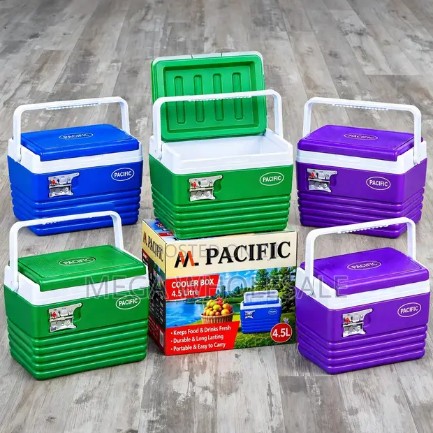 4.5L Portable Cooler Box with Strong Carry Handle - 1