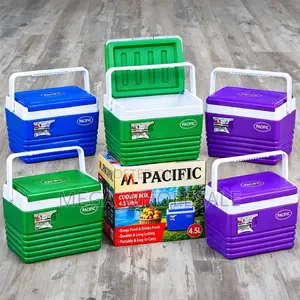 4.5L Portable Cooler Box with Strong Carry Handle