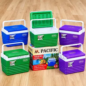 4.5L Portable Cooler Box for Picnics & Camping