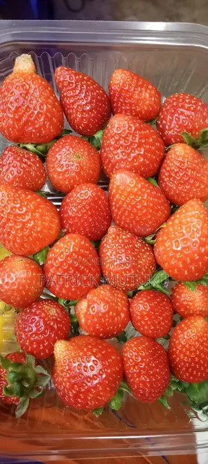 Strawberry Safi
