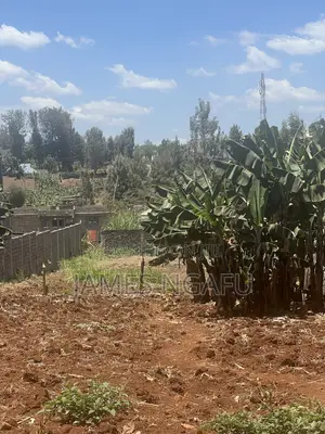 100x100 Plot for Sale in Mugumo Estate, Kiambu CBD