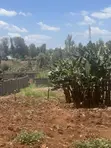 100x100 Plot for Sale in Mugumo Estate, Kiambu CBD - 1