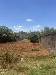100x100 Plot for Sale in Mugumo Estate, Kiambu CBD - 2