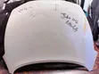 Nissan Juke 2012 Bonnet / Hood - 1
