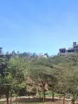 Ongata Rongai Acacia Prime Plots - Freehold Title - 4