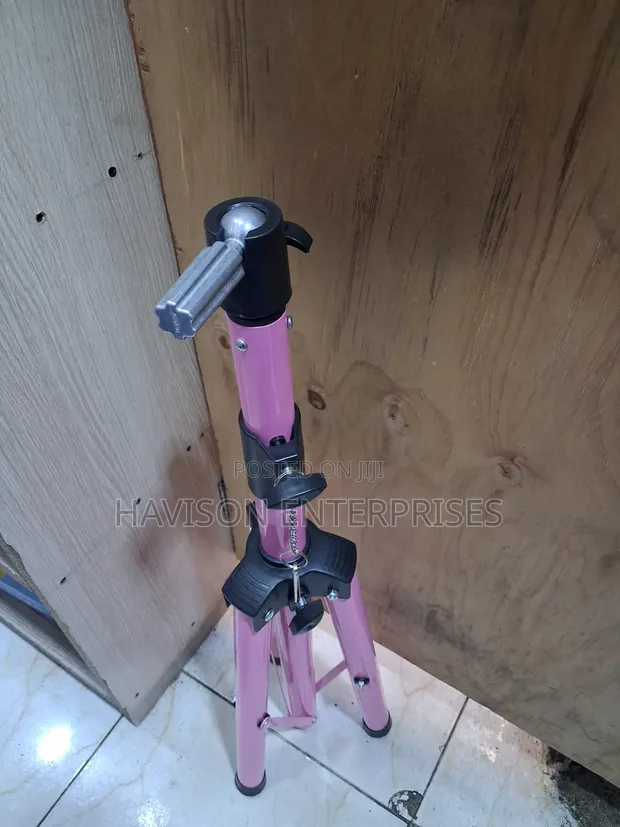 Heavy Pink Dummy Stand - 1