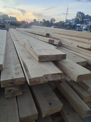 Pine Timber - Freshly Milled