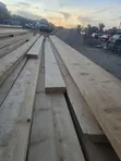 Mbao za Pine - Zilizokatwa Hivi Punde - 2
